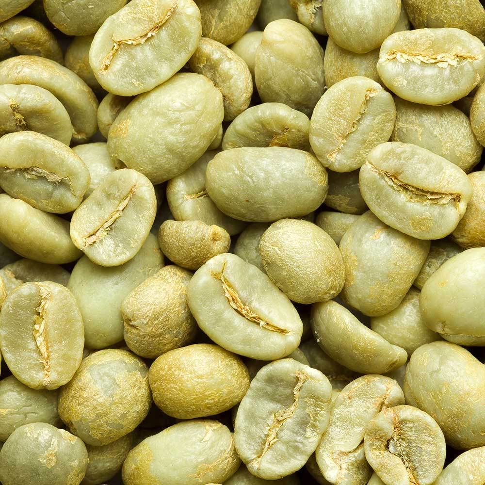 100lb Green Coffee Beans